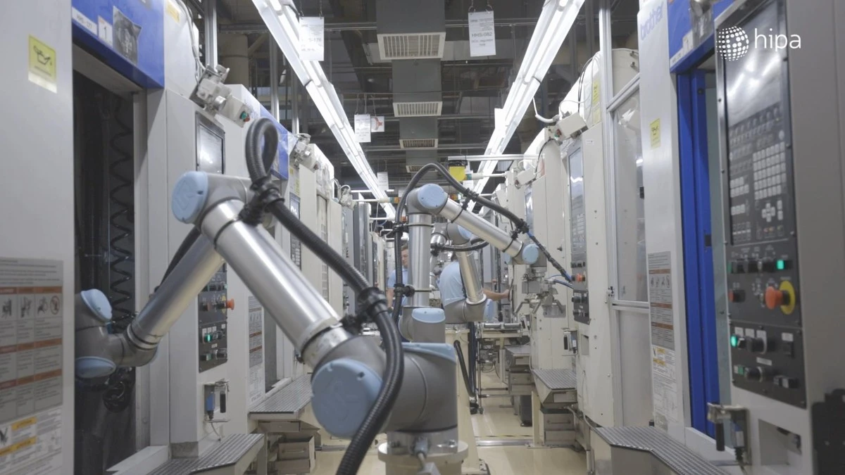 De verborgen park van 9000 m² in Székesfehérvár: waarom dit een gamechanger is voor de industrie - image 2