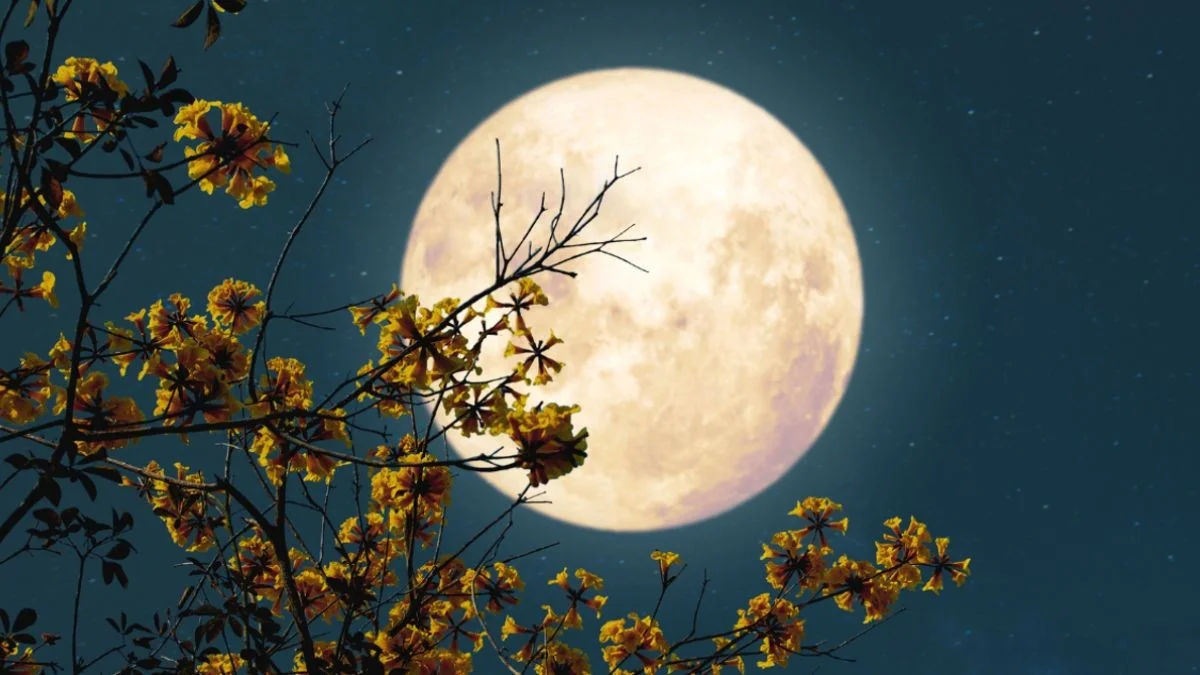 De 13 volle manen van 2026: dit zijn de data voor de zeldzame blauwe maan en de bloedmaan