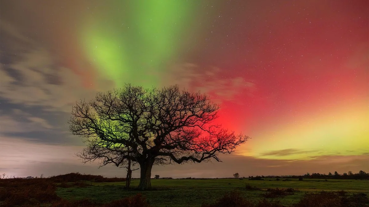 De sterkste poollicht gloed in 20 jaar boven Waterford: zo zag je het - image 2