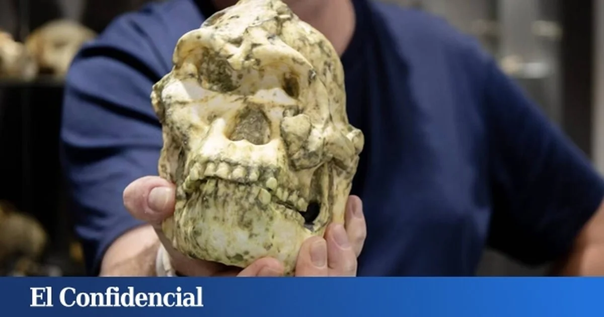 Het 3 miljoen jaar oude 'Little Foot' fossiel dwingt experts tot herziening van menselijke voorouders