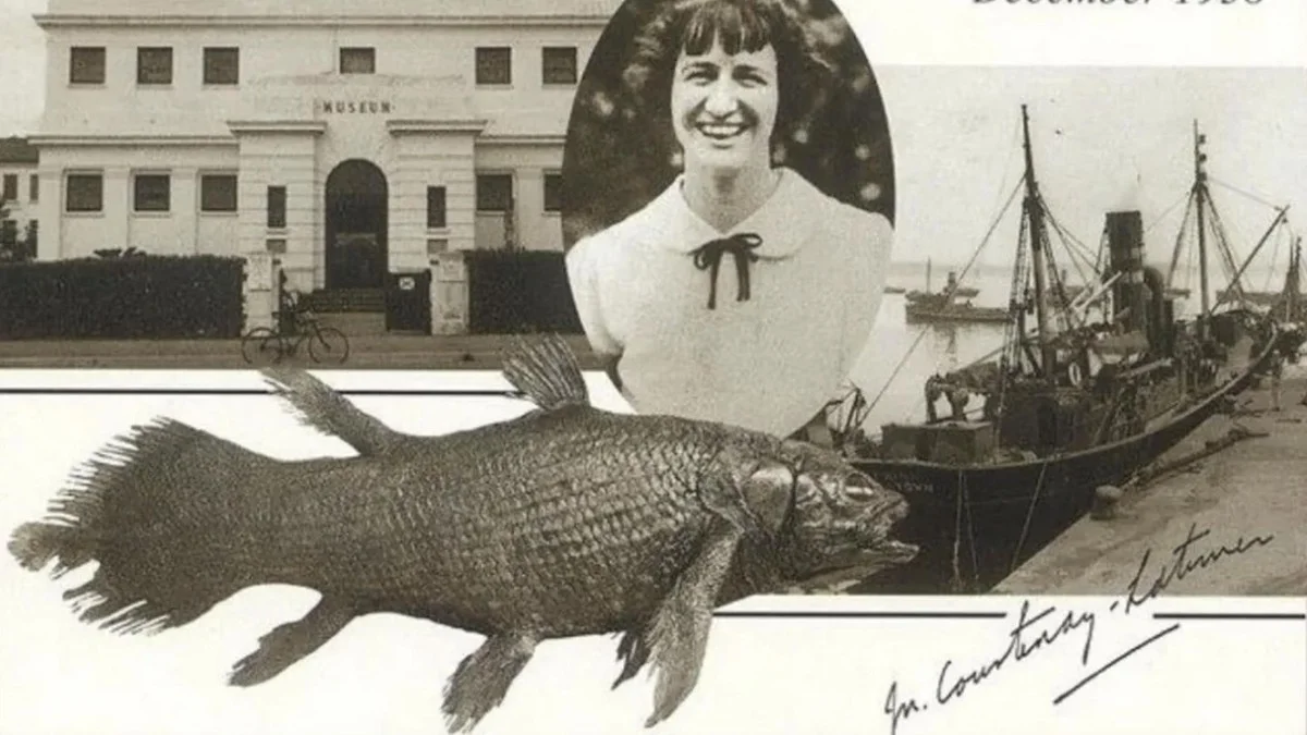 Waarom wetenschappers de komst van deze vis 'erger dan ein dinosaurus' noemden