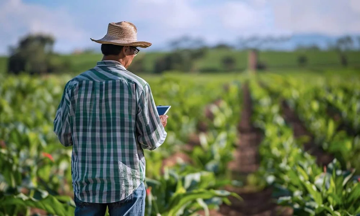 Hoe een kleine technologische sprong de Braziliaanse landbouw radicaal verandert - image 1