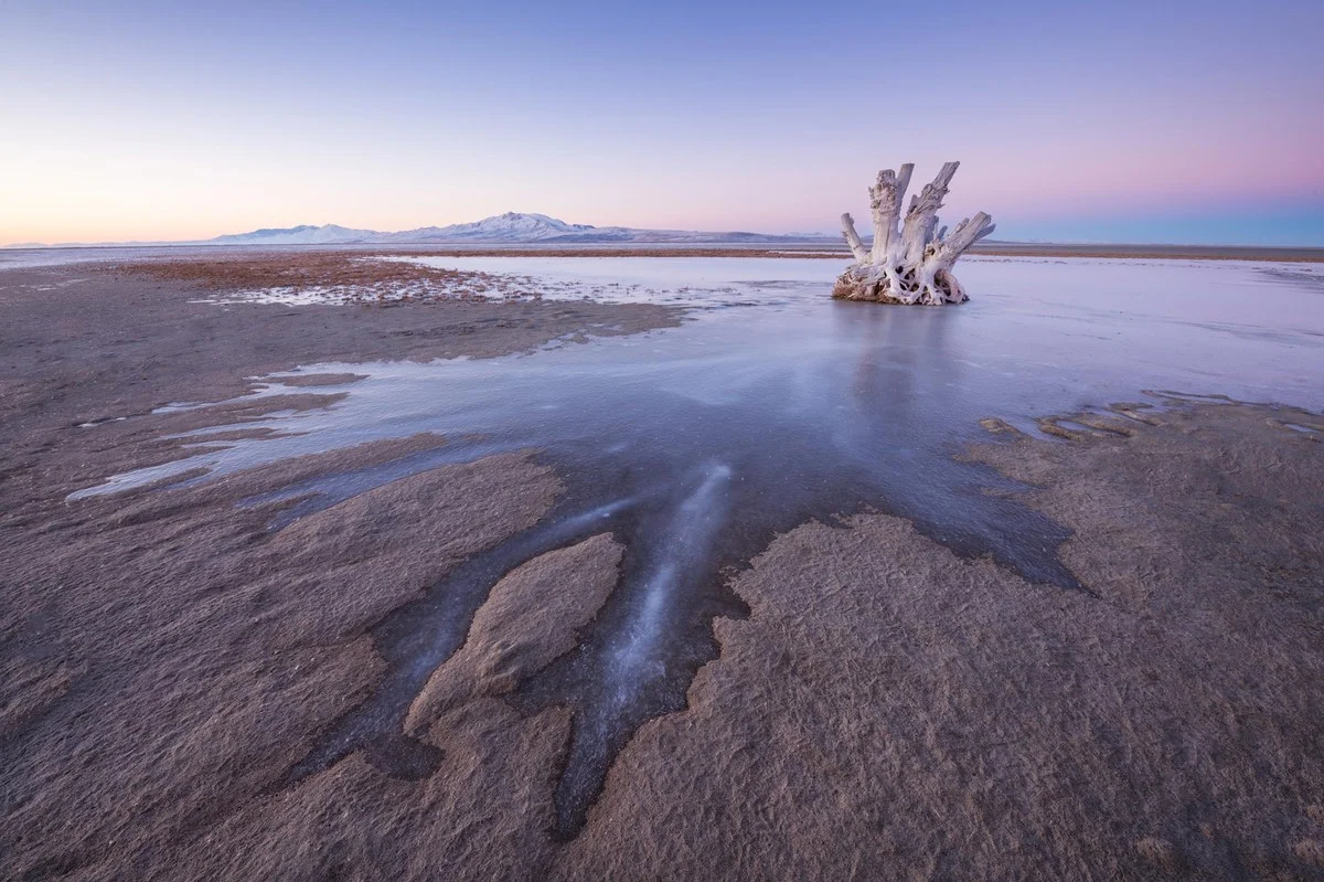 Het onbekende 'Wo'aabi' wormpje: het nieuwe bewijs van leven in de Great Salt Lake