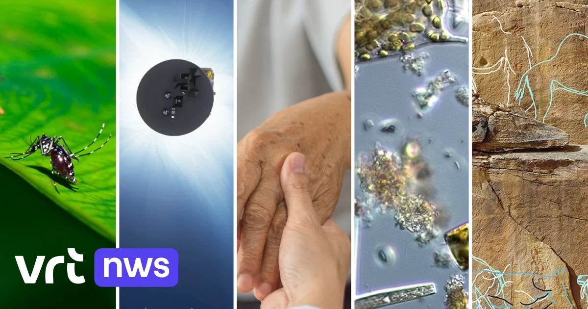 Waarom wetenschappers nu al 50 zonsverduisteringen per dag maken