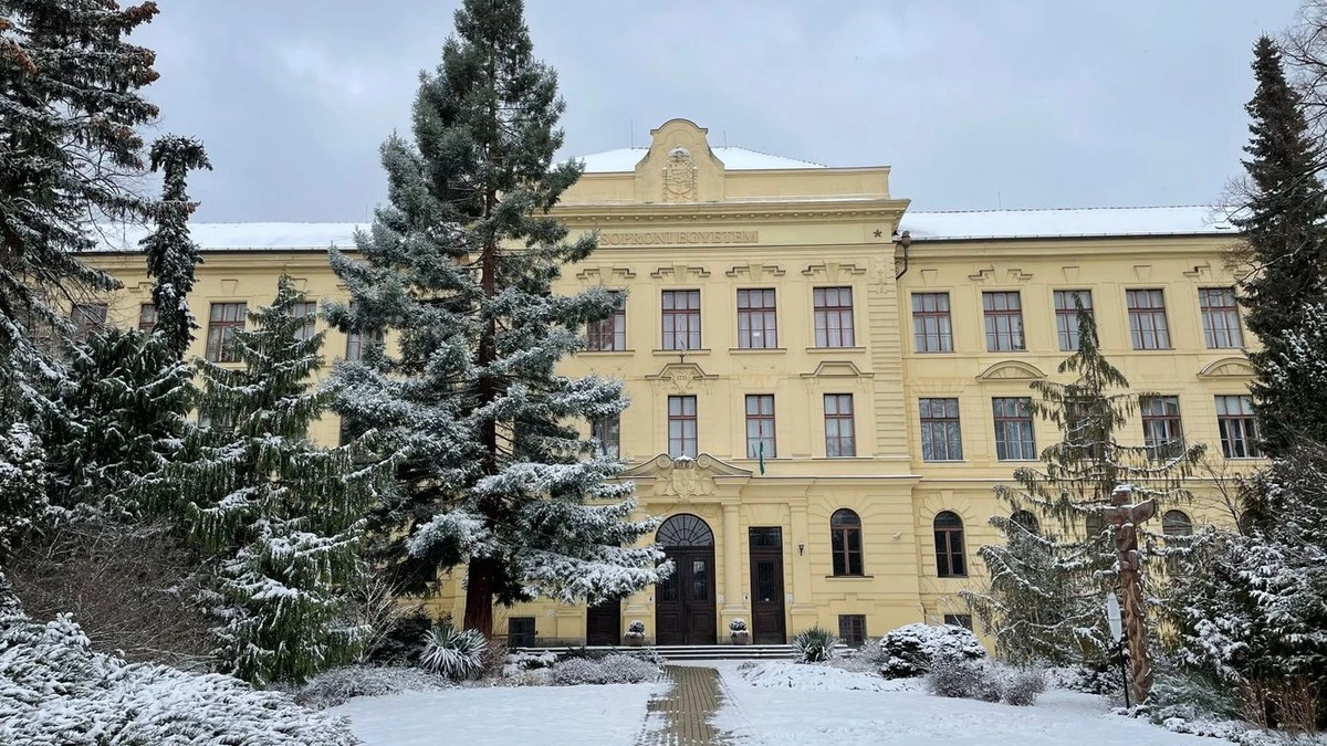 De Sopron Bosbouwconferentie: Waarom 131 presentaties het systeem doen kraken