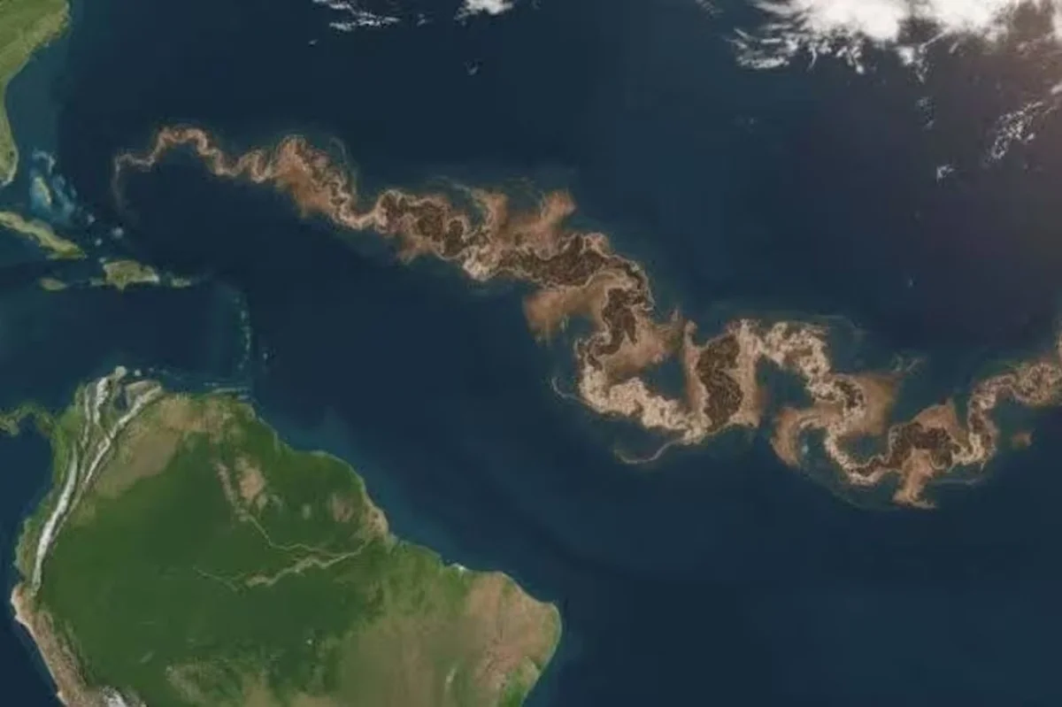 Ik ontdekte waarom er een gigantische bruine strook van Afrika tot aan Mexico in de Atlantische Oceaan drijft