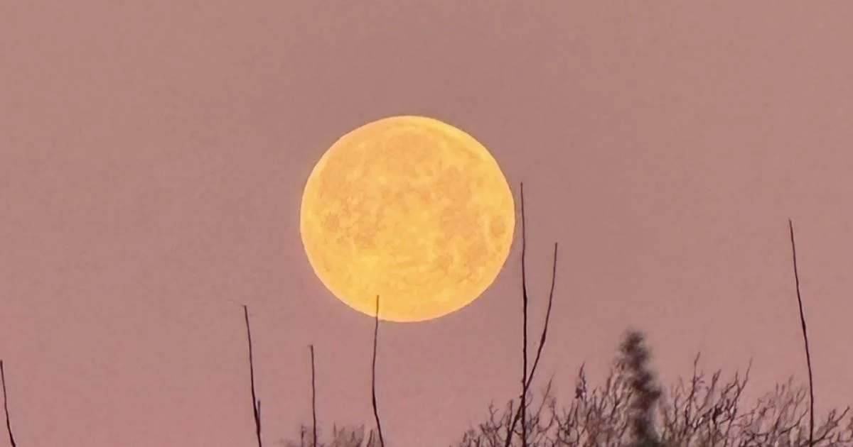 Waarom je de 'Wolf Supermaan' van Cambs bijna miste (en hoe hij tóch die extra gloed kreeg)
