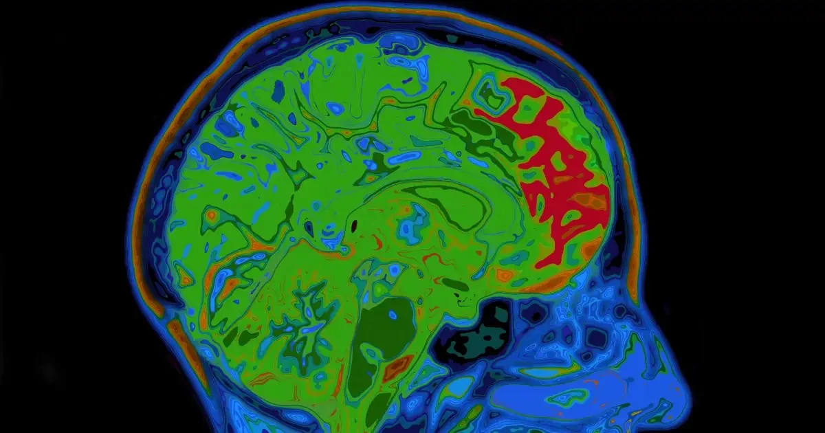 Wetenschappers vonden de KCC2-eiwitschakelaar die bepaalt hoe snel u een gewoonte aanleert: goed of slecht