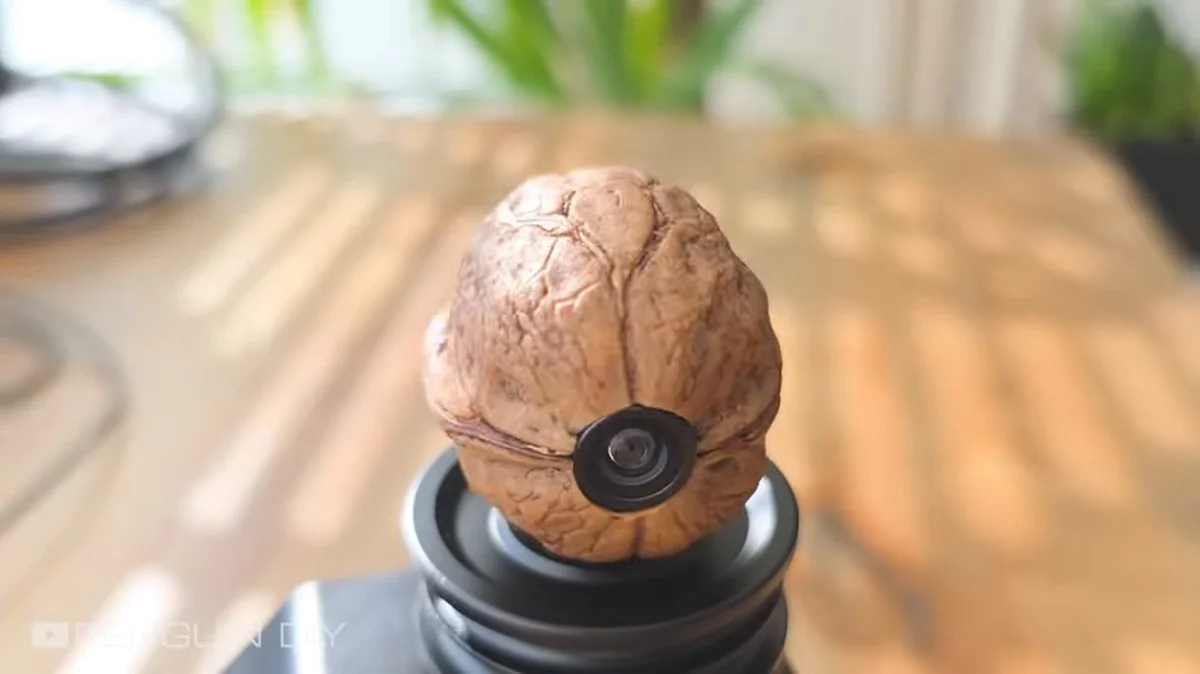 De verrassende reden waarom je een glazen fles nodig hebt voor perfecte walnotenpitten - image 2