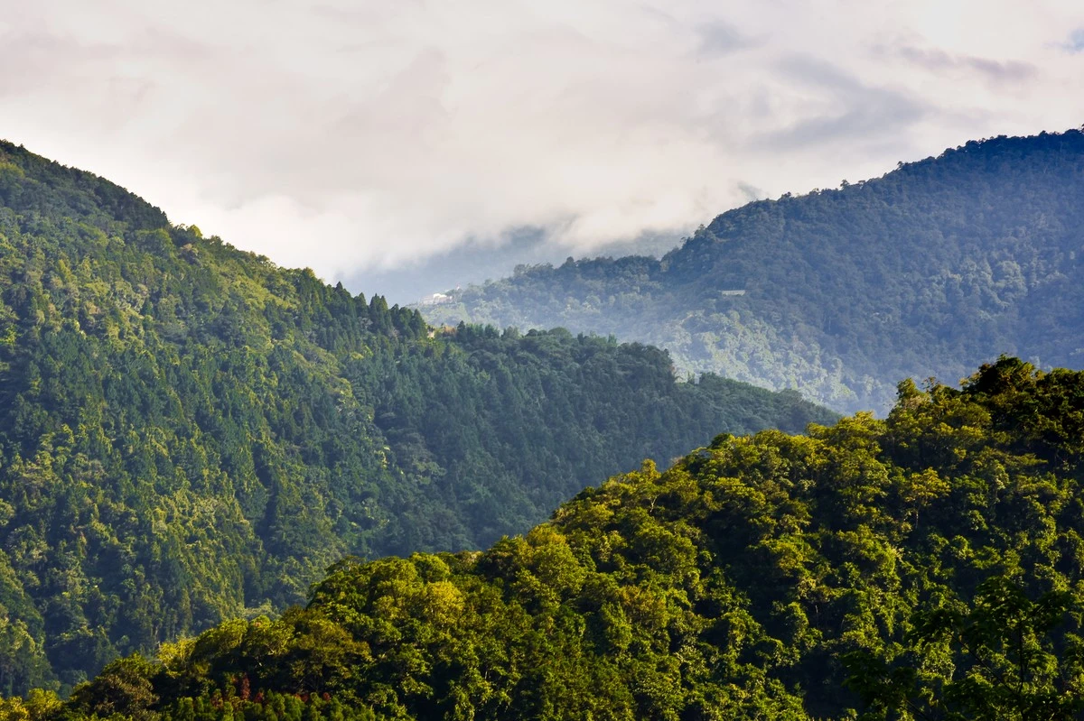 De verborgen vleermuizen van Guanwu: zo wordt één berggebied de onverwachte hotspot van Taiwan - image 2