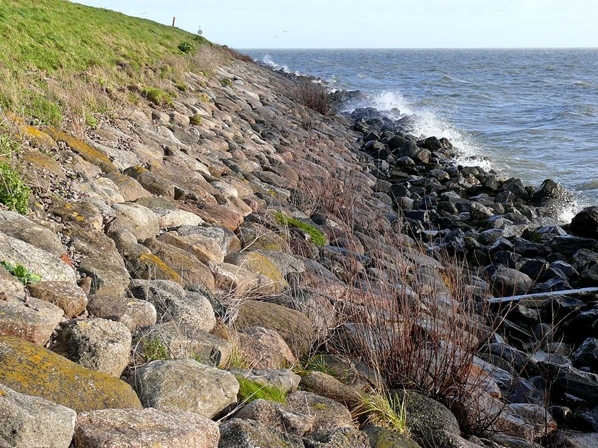 De zandkorrel als tijdcapsule: zo lees je de prehistorie in de duinen - image 2