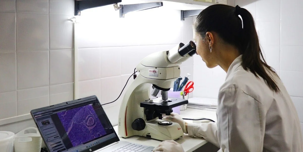 Waarom wetenschappers nu vrezen voor hun reeds goedgekeurde onderzoekssubsidies