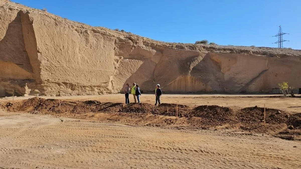 Waarom experts nu een kunstmatige plas aanleggen voor trekkende vogels op Tenerife