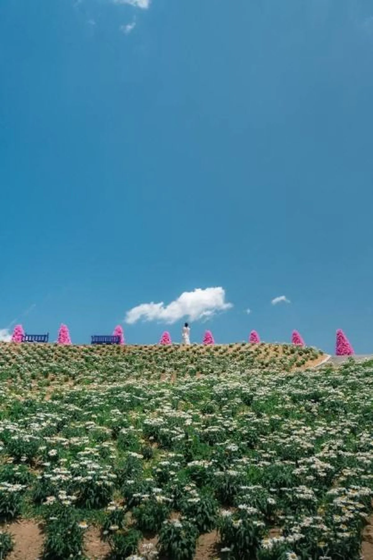 De verborgen reden waarom je de geur van kruiden uit Pochoen moet proberen