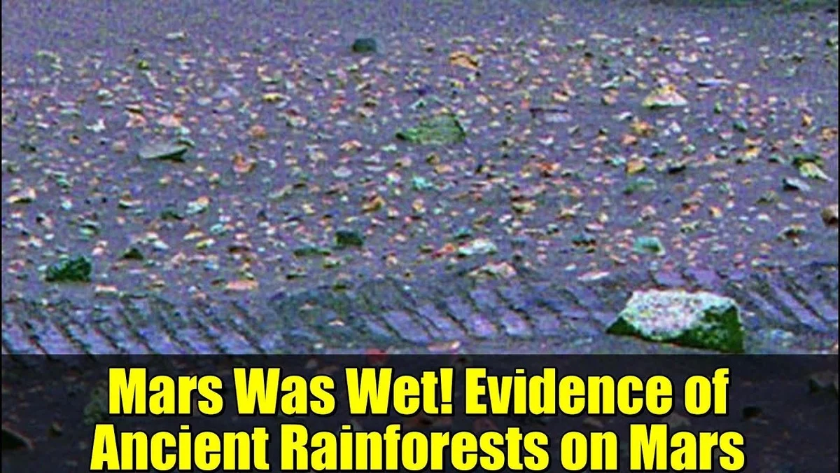Waarom experts deze witte stenen op Mars linken aan een verloren regenwoud - image 1