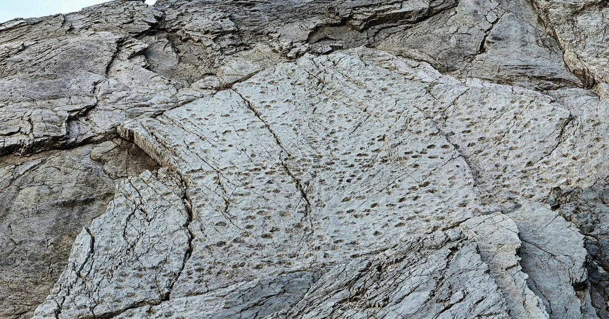 Wat een natuurfotograaf deed toen hij tienduizenden dinosaurusvoetafdrukken ontdekte in de Alpen