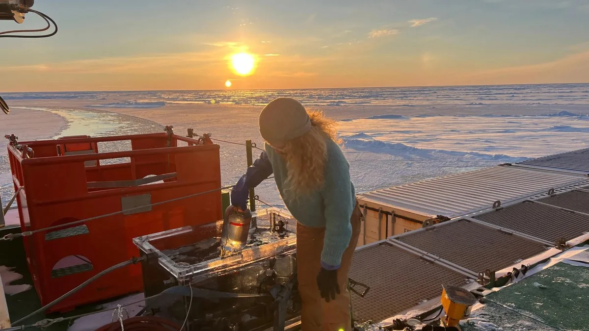 De onverwachte microben die de basis van de Arctische voedselketen voeden - image 1