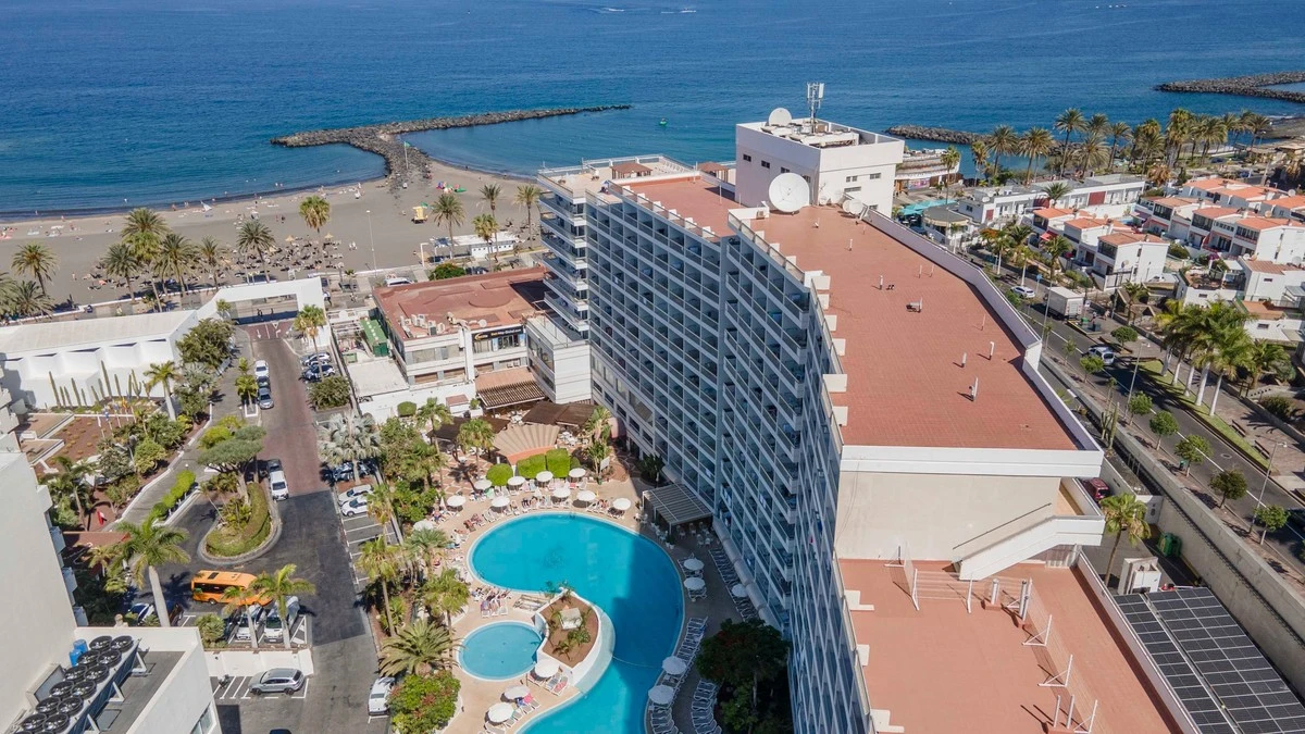 De Corypha umbraculifera bloeit: waarom dit 60-jarige fenomeen nu in Tenerife Europa