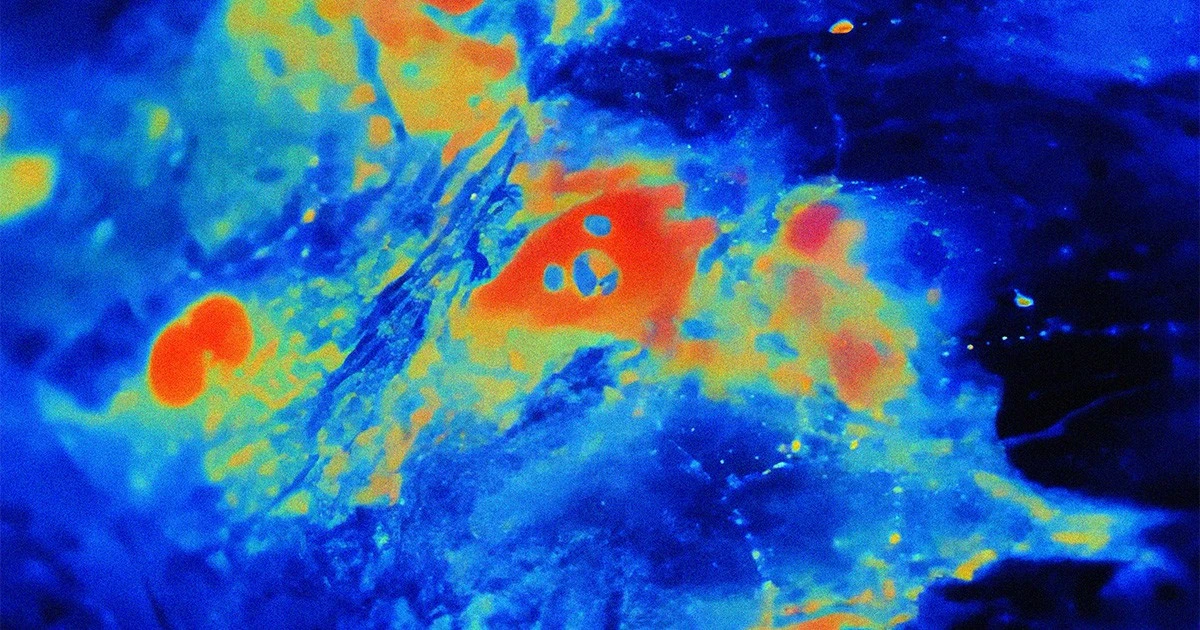 De lang genegeerde hersencellen die écht bepalen of jij je futloos of alert voelt