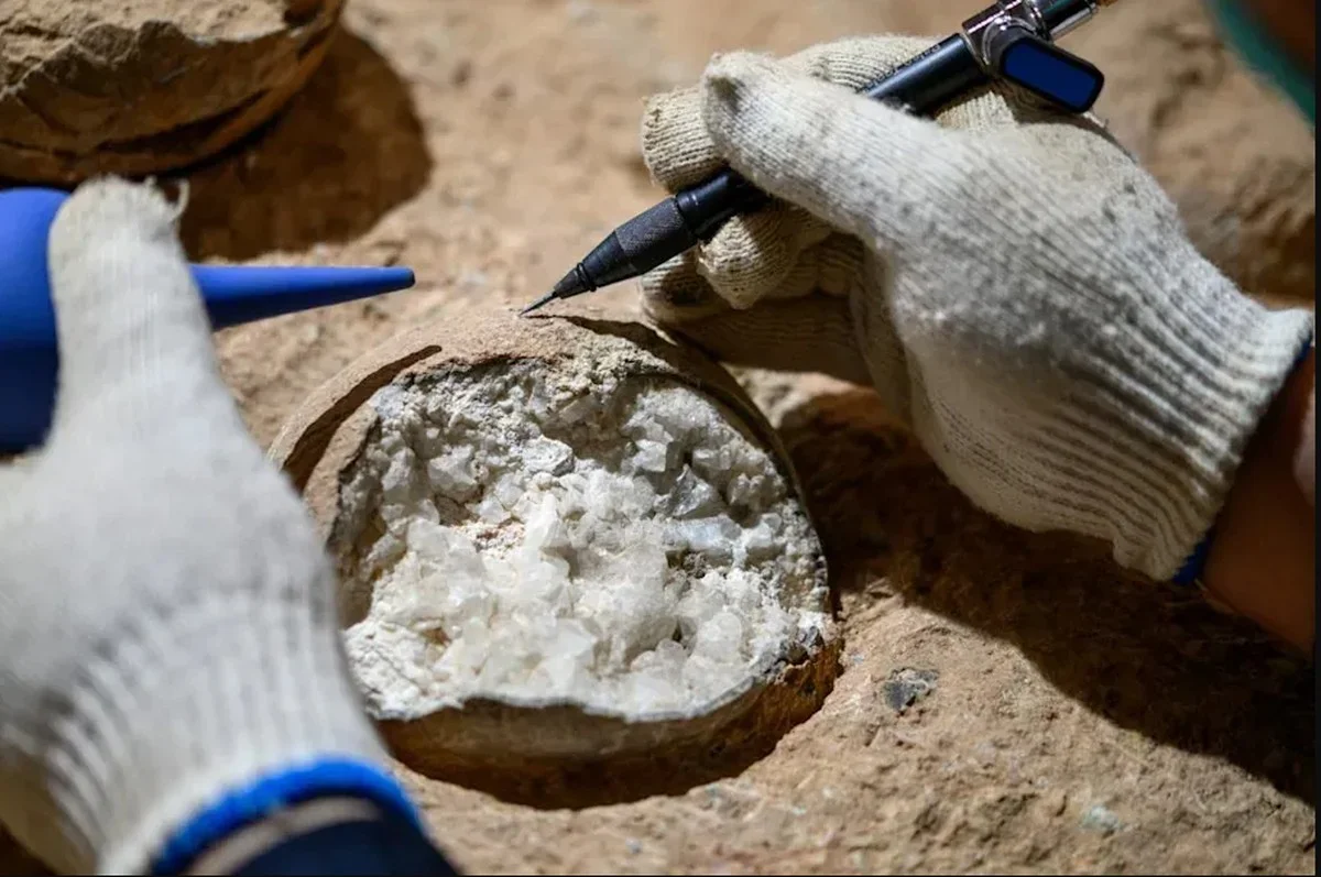 De geheime methode waarmee wetenschappers de échte leeftijd van dinosaurus-eieren vaststelden