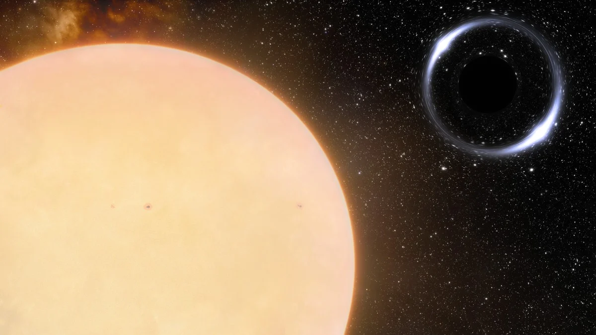 Waarom sommige exoplaneten volgens nieuw onderzoek eigenlijk verborgen zwarte gaten zijn - image 1