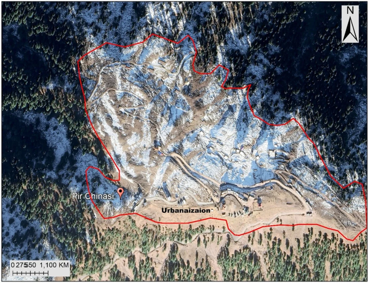 hetverborgennet-extra-2.webp Het verborgen netwerk: waarom wetenschappers nu álle vogels in Montesinho volgen - image 2