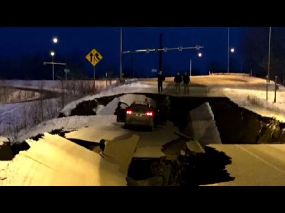 Waarom experts een spons onderin je bloempot leggen - image 1