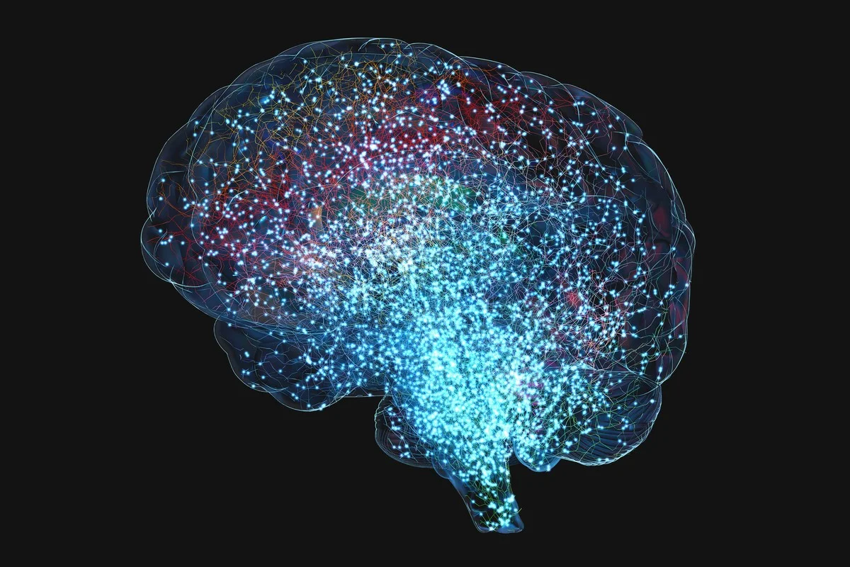 wetenschappersl-extra-2.webp Wetenschappers laten hersencellen opgloeien: zo zie je gedachtes zonder vervorming - image 2
