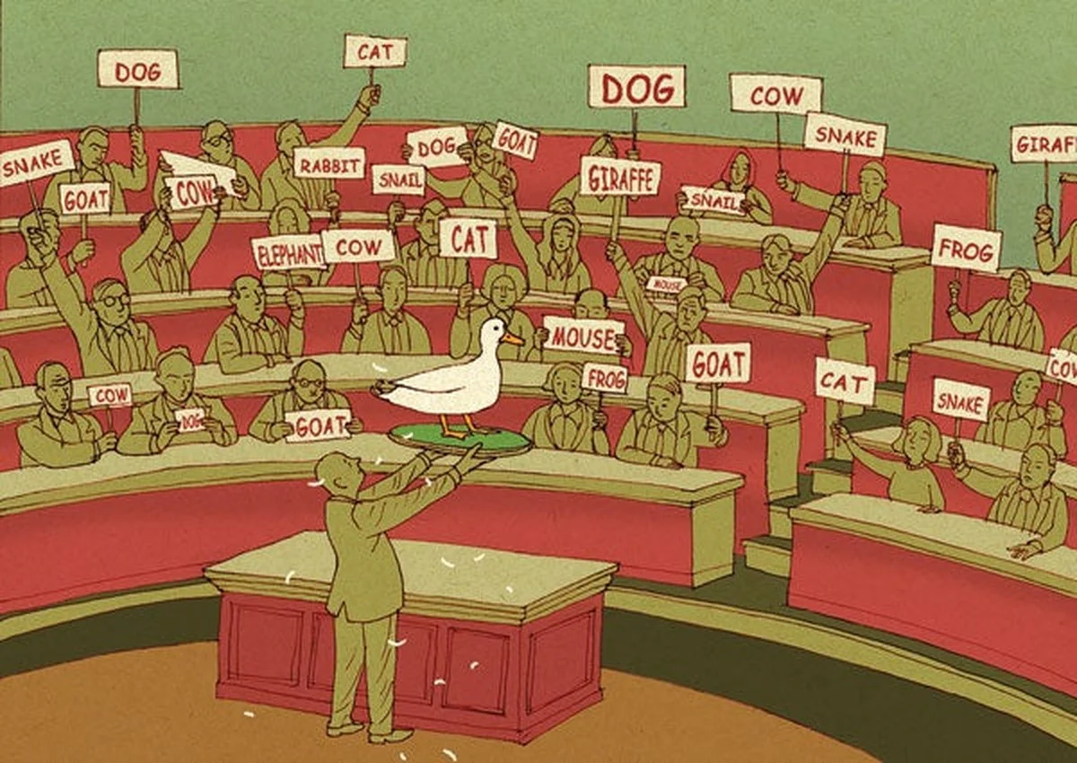 Klimaatwetenschappers zien het: waarom economen de opwarming nu pas in twijfel trekken - image 1