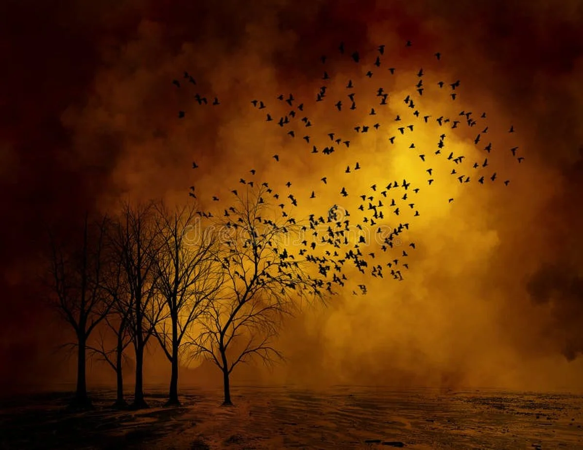 Dit mysterie in de Brdy bomen onthult de verborgen bewoner na de regen - image 2