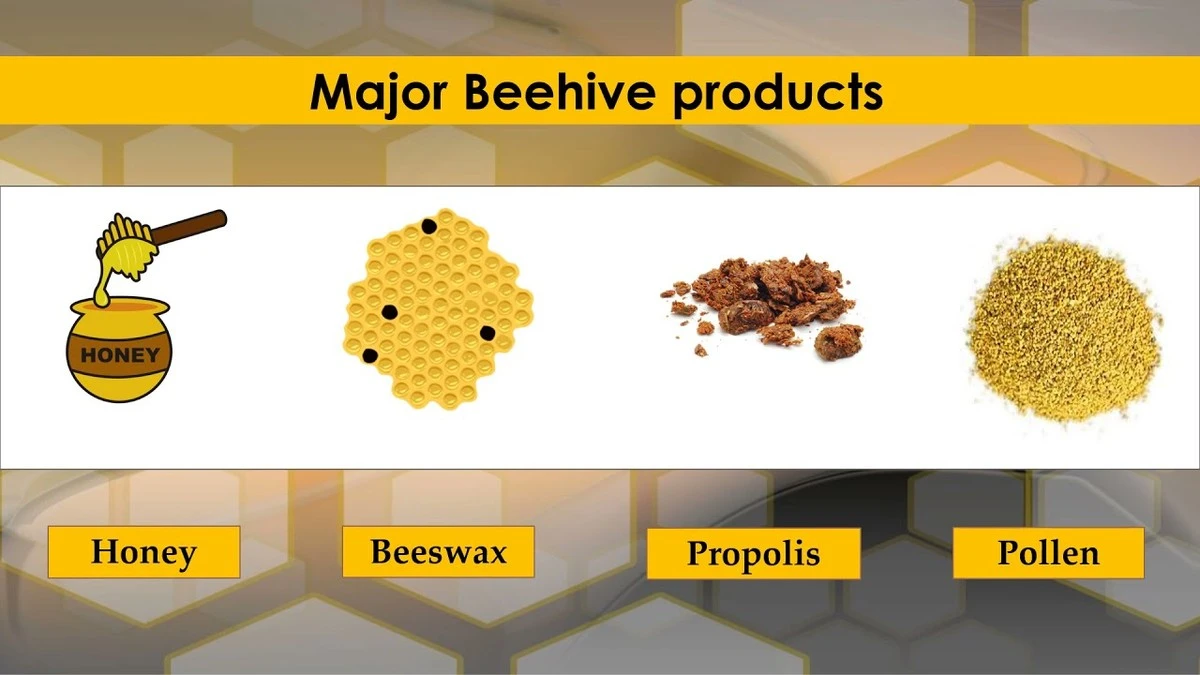 Waarom imkerijen nu spaarzame honingruil verruilen voor dit 