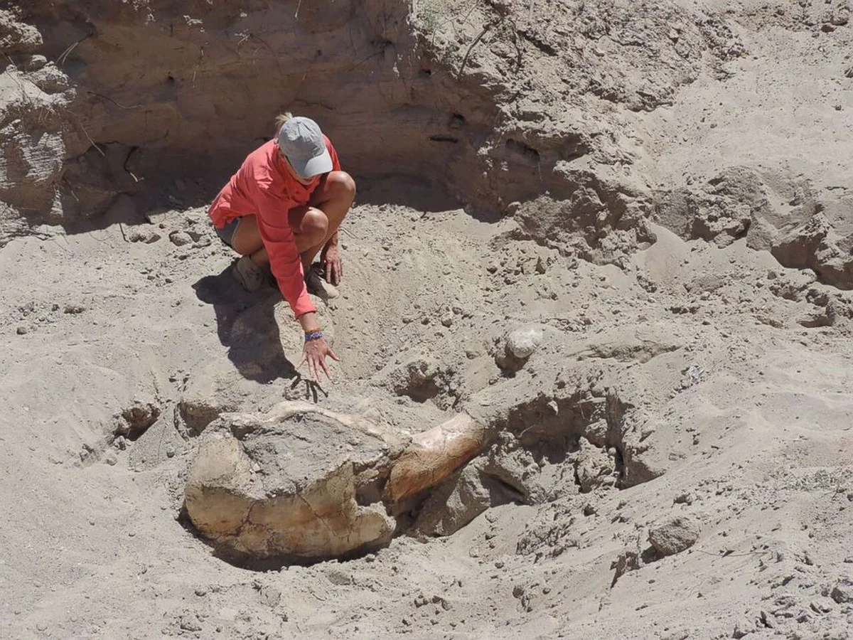 waaromjebijjevo-extra-1.webp Waarom je bij je volgende boswandeling beter afwijkt van het pad, net als deze jongen - image 1