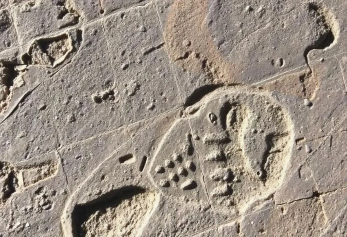 waarnudevaltell-extra-2.webp Waar nu de Valtellina ligt, liepen 210 miljoen jaar geleden dinosauriërs - image 2