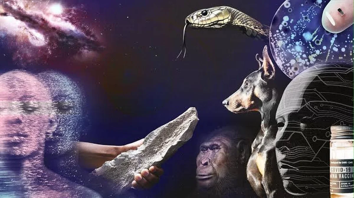 De verborgen wetenschappelijke doorbraken die je leven in 2025 veranderen