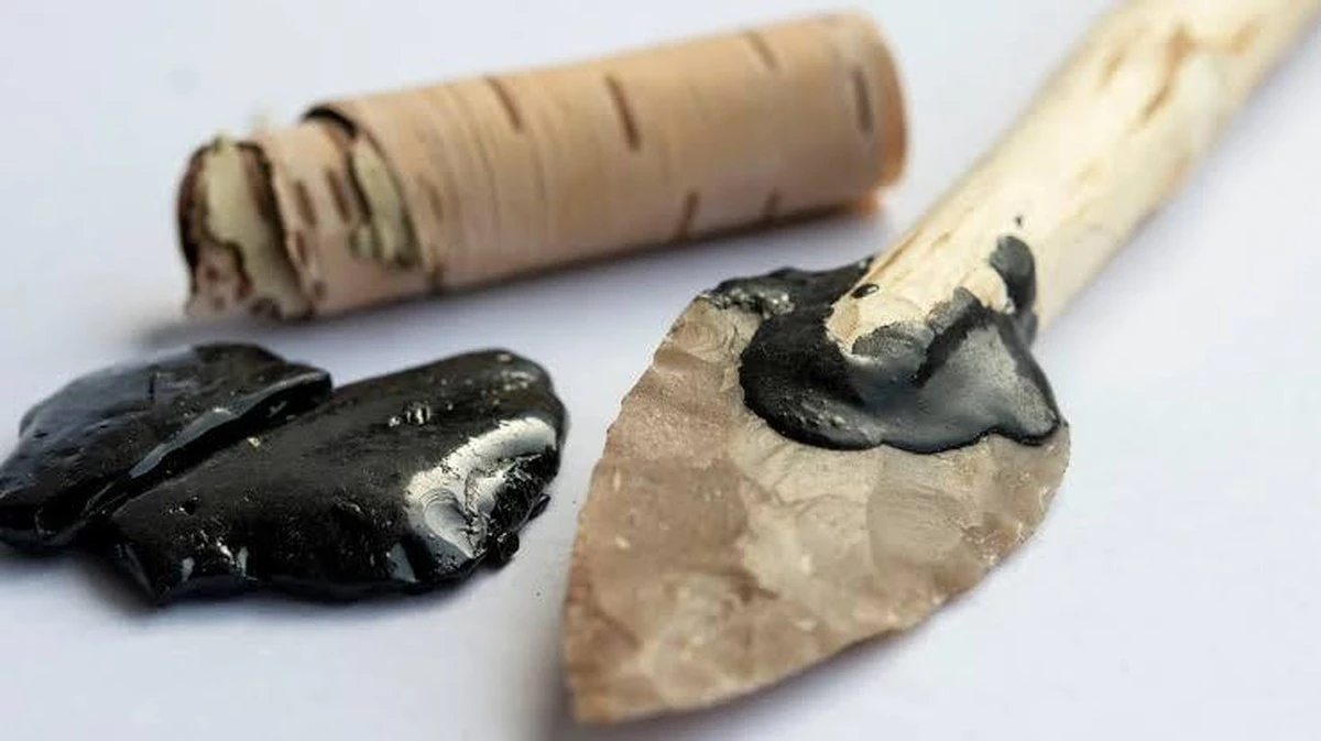 Geheime DNA in oeroude teer onthult wie de gereedschappen maakte en wat ze aten