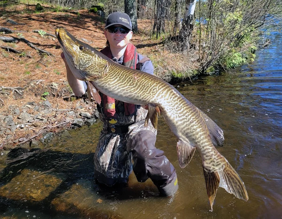 De stille dood: hoe één viskruising lokale soorten in Nederlandse sloten onzichtbaar uitroeit - image 2