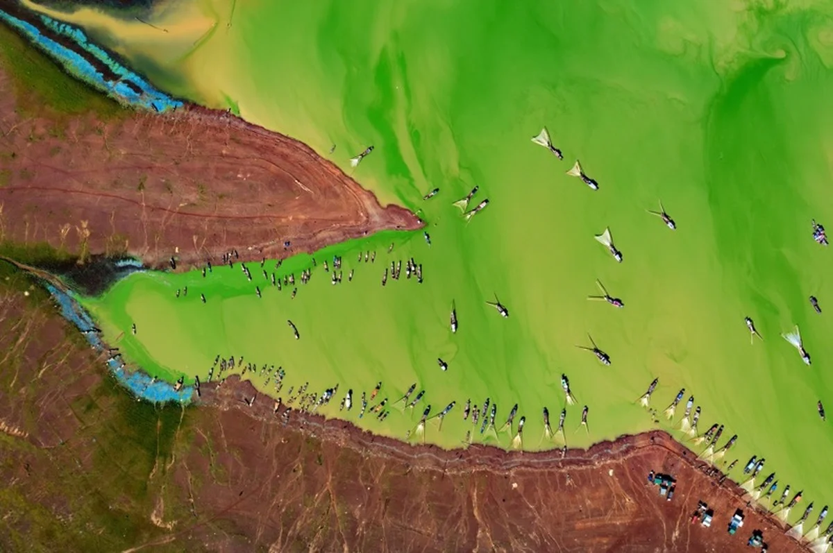 Waarom de zee bij Hà Tĩnh plots rood kleurde: het onverwachte verhaal van de bloeiende algen - image 2
