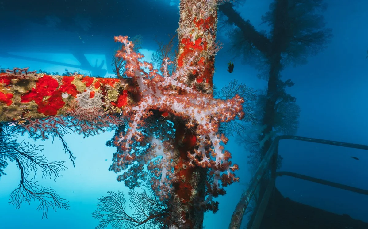 Waarom de legendarische SS United States niet naar een haven vaart, maar naar de zeebodem - image 1