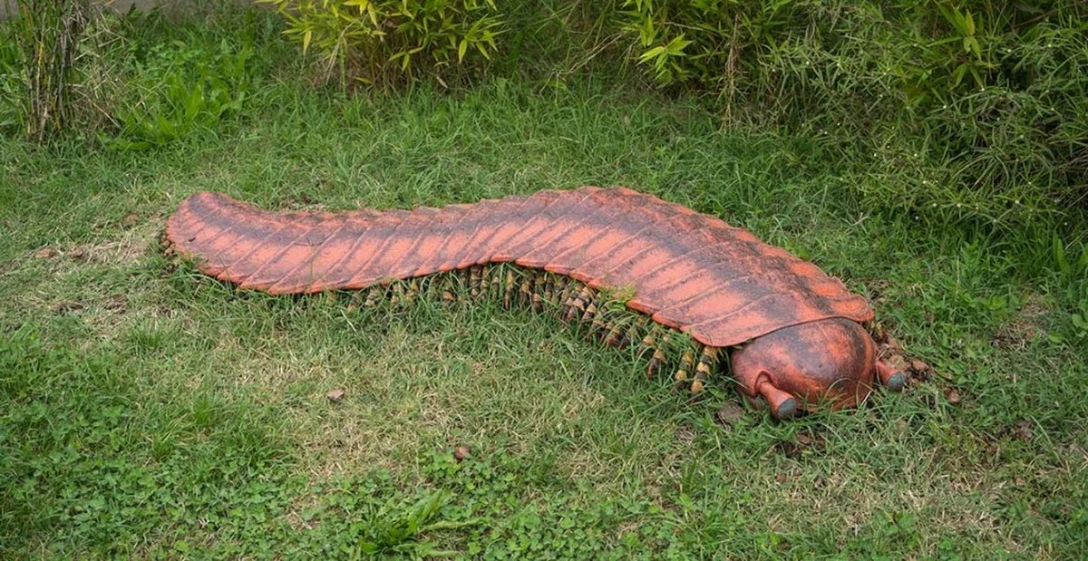 Waarom de grootste terrestrische predator ooit geen dinosaurus was: de 2,5 meter lange zeeschorpioen - image 2