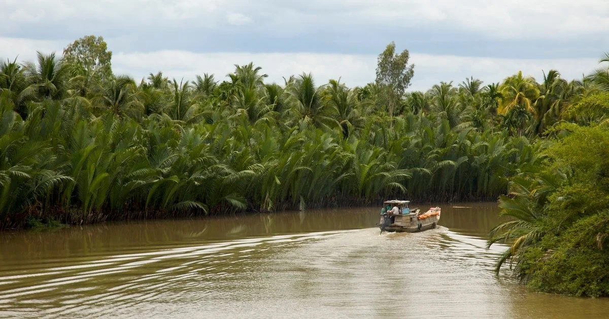 De onverwachte ontdekking van een nieuwe wormsoort langs de Mekongrivier - image 2
