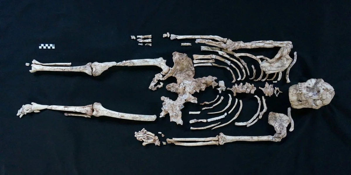 waaromhetberoem-extra-2.webp Waarom het beroemdste