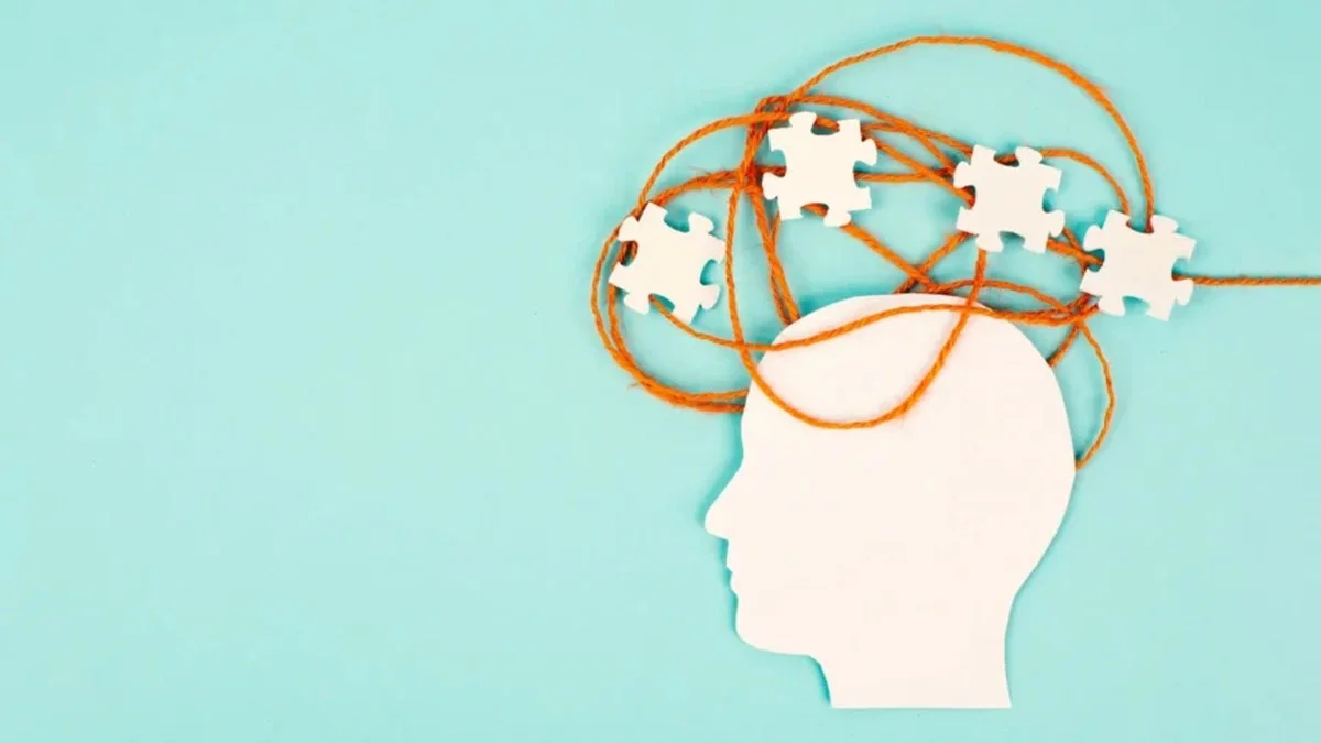 Dit ene gen bepaalt hoe goed jij je kunt concentreren – en het werkt het tegenovergestelde van wat je denkt - image 1