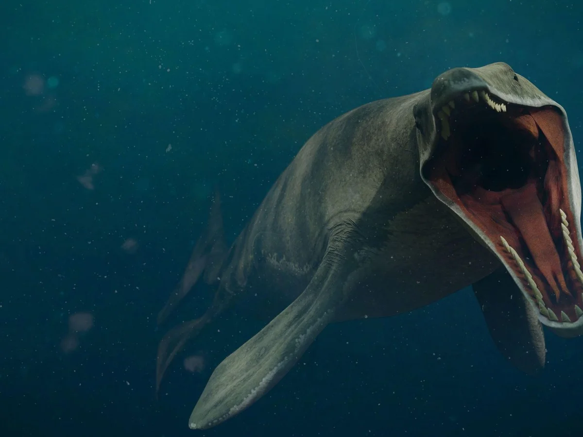 De verborgen verrassing: deze 11 meter lange zeereus jaagde óók in zoetwaterrivieren - image 1