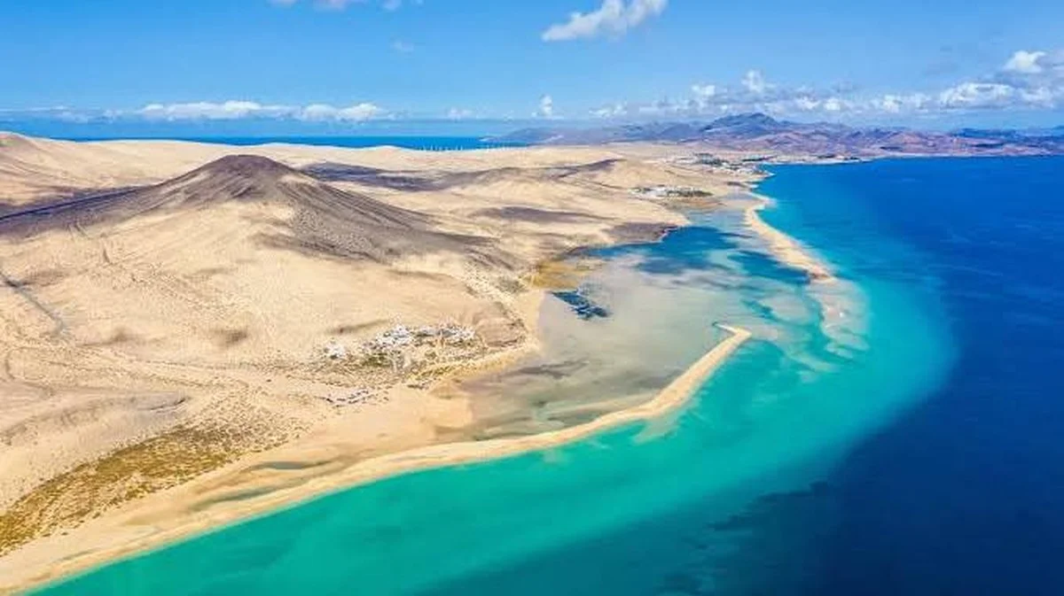 Waarom experts een spons onderin je plantenpot stoppen