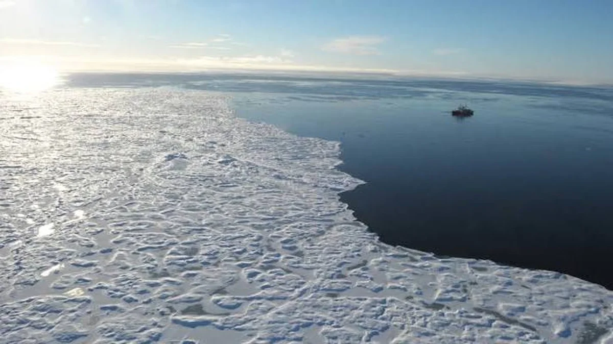 Wetenschap is bezorgd: De Noordpool kende het warmste jaar ooit gemeten