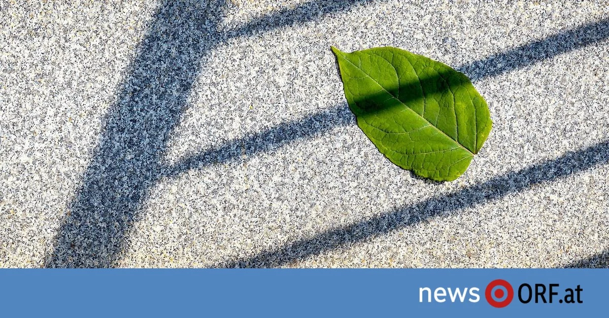 Stop met ademhalen: het klimaatakkoord waar we op vertrouwden, valt nu uit elkaar