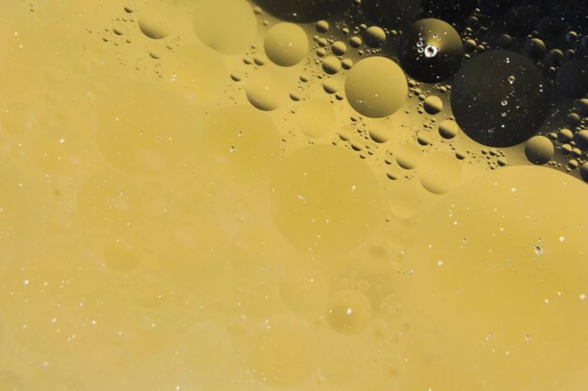 Verbergt Schimmel Zich? De 7 Verrassende Plekken in Uw Huis - image 2