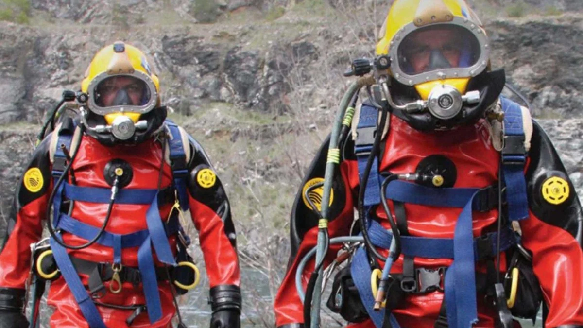 De onderwaterbeelden die laten zien dat Zuid-Australië écht terugvecht na de algenplaag - image 1