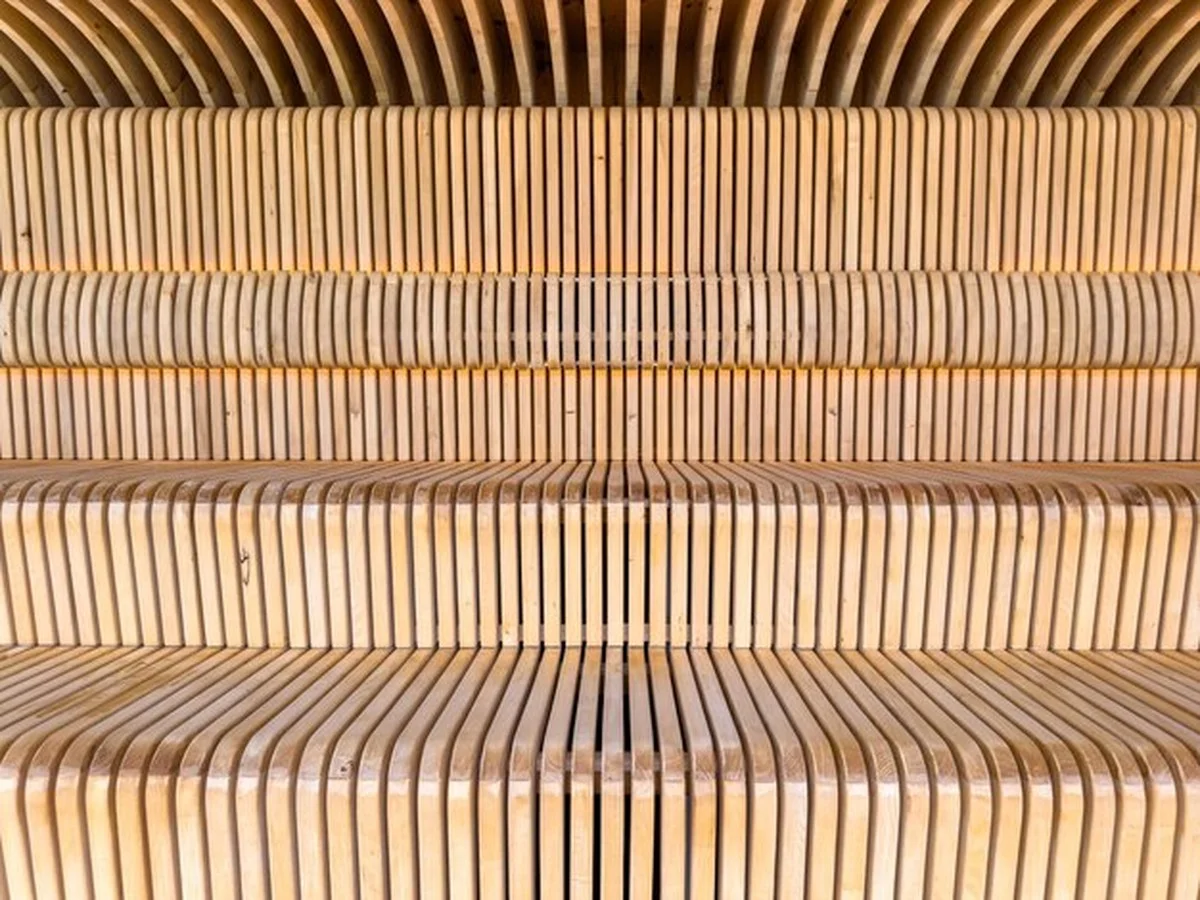 Verbergt Schimmel Zich? De 7 Verrassende Plekken in Uw Huis - image 1