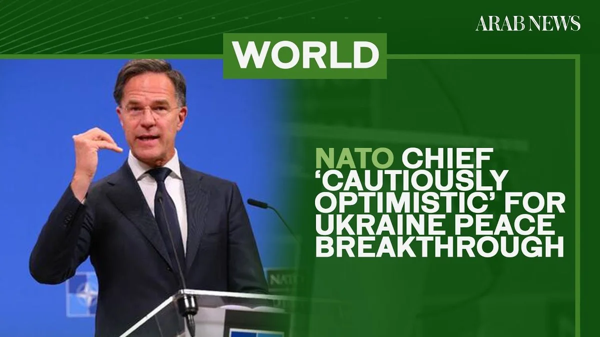 Waarom ervaren tuiniers een spons onderin de pot stoppen en drie verrassende wetenschappelijke doorbraken - image 2